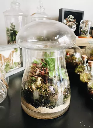 Image: Terrarium Workshop