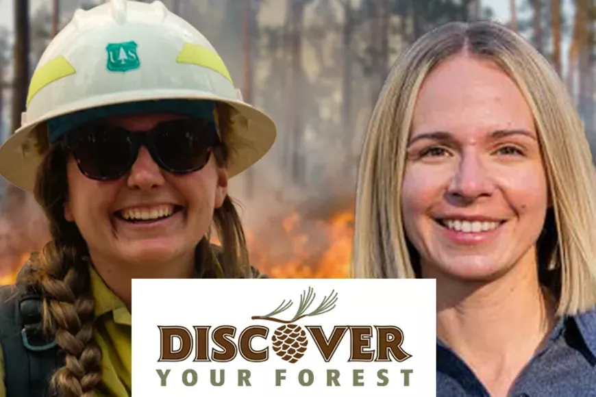 basicsfireecology-720x480.webp