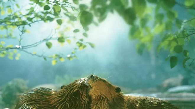 Image: The Beaver Den - Beaver Book Club