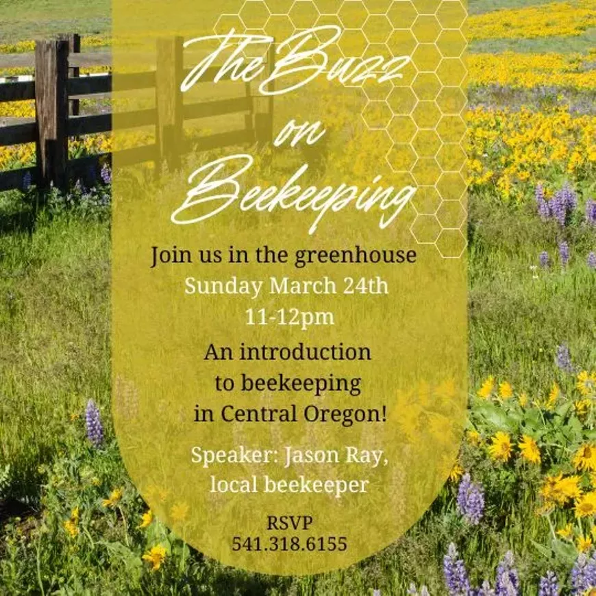 buzz_on_beekeeping__1_.webp