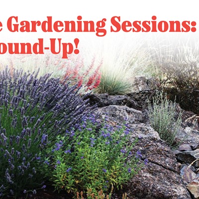 The Gardening Sessions: A Round-Up!