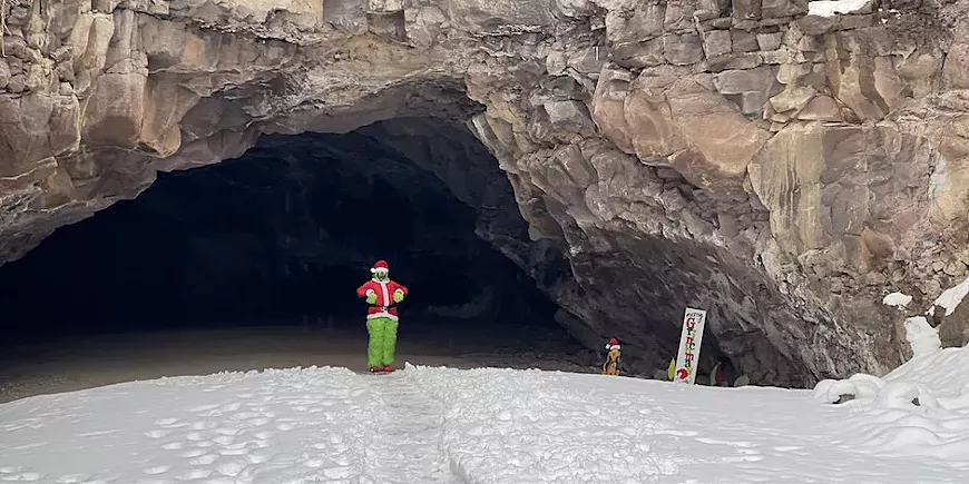 grinch.webp