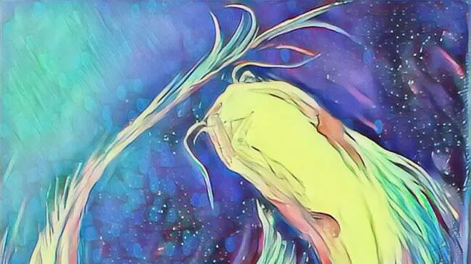Image: The Pisces Party "Water Bass"