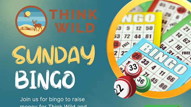 Image: Think Wild Bingo
