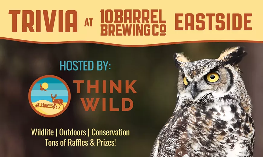Think Wild Trivia Night