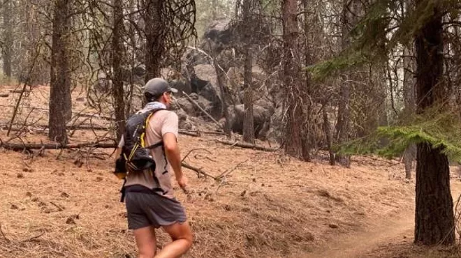 Image: Timberjack Ultramarathon