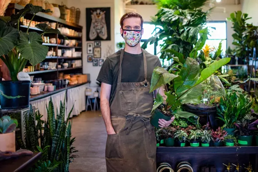 Best Indoor Plant Shop