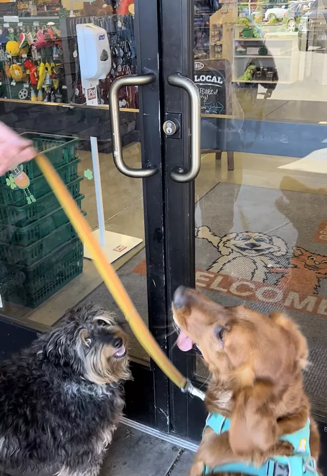 Best Pet Store