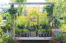 Best Nursery/Garden Center