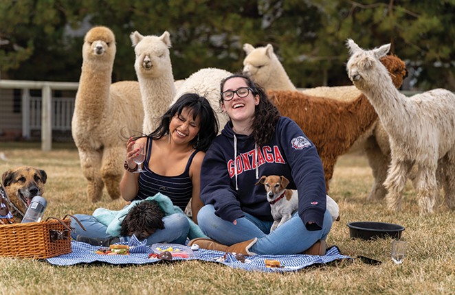 Your Latest Lunch Date: Alpacas