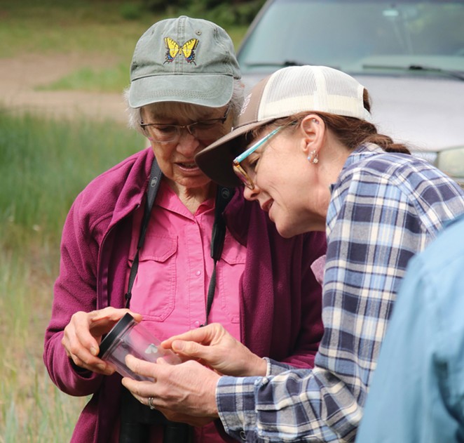 Contributing to the 34th Annual Ochoco Butterfly Count