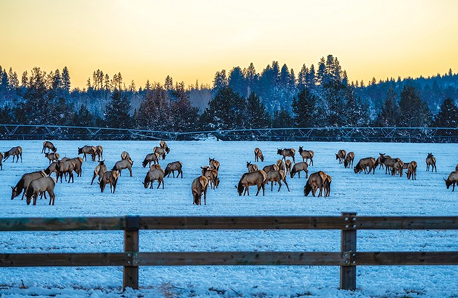 Danger Ahead in the Bend to Suttle Lake Wildlife Corridor