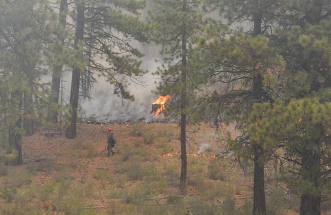 Amid Record Fires and A Worker Shortage, Forest Service Looks To Fill Hundreds Of Openings