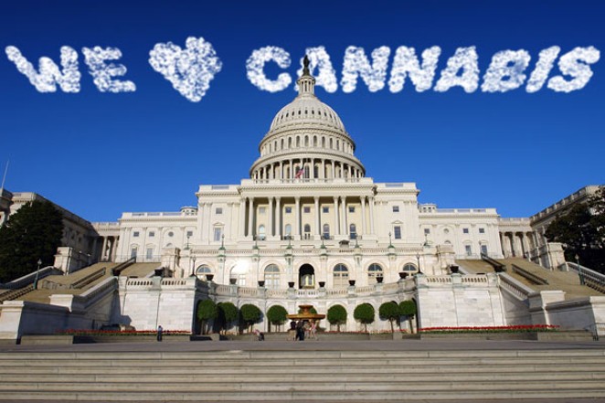 Washington Loves Weed!