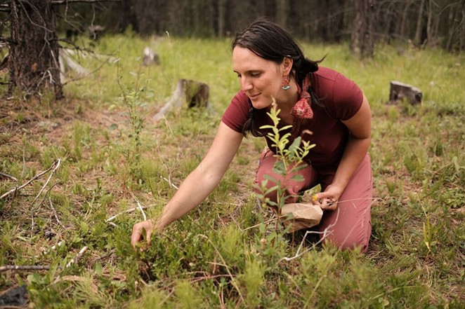 Laura Parker, Wildheart Instructor and Herbalist