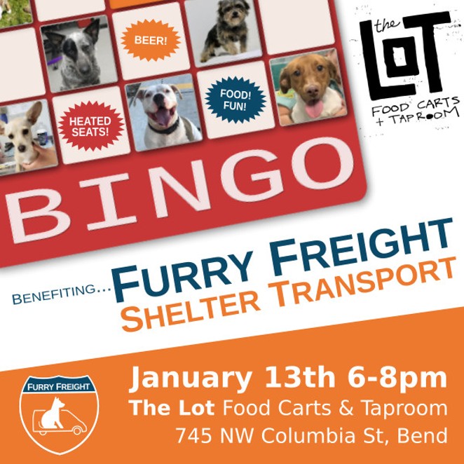 Join Us For Bingo And Help Save Shelter Pets!