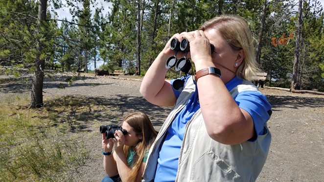 Bird walks are offered throughout the fall
