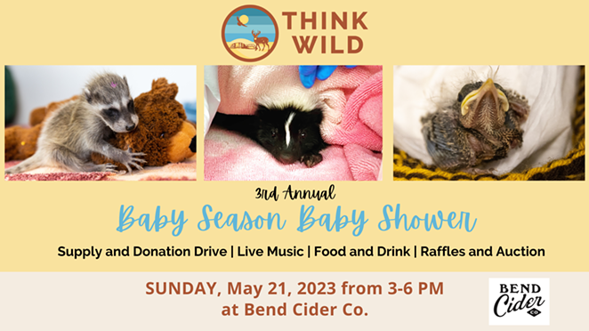 baby-season-baby-shower-event-flier.png