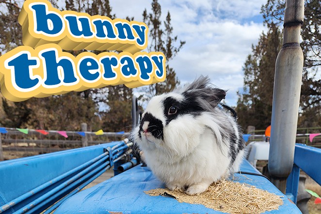 bunny-therapy-version2-jun2023-720x480-002-.jpg