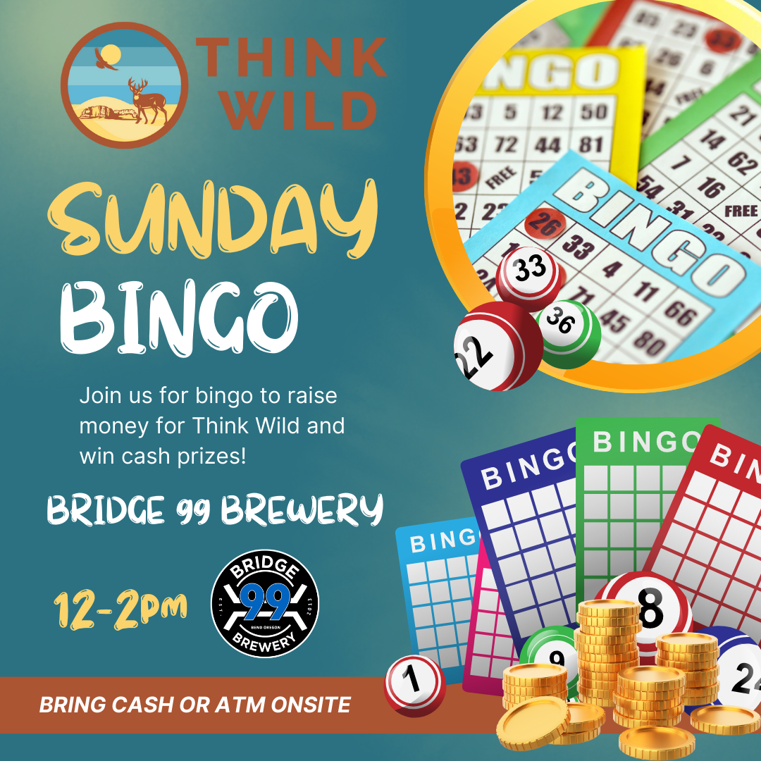 Think Wild Bingo | Bridge 99 Brewery | Fundraising | The Source Weekly ...