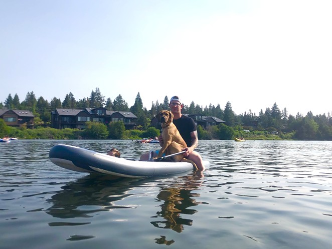 Full Bingo: Dog on a paddleboard