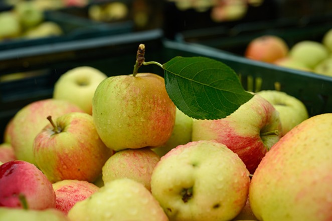 North Coast Organic Gala Apple Sauce