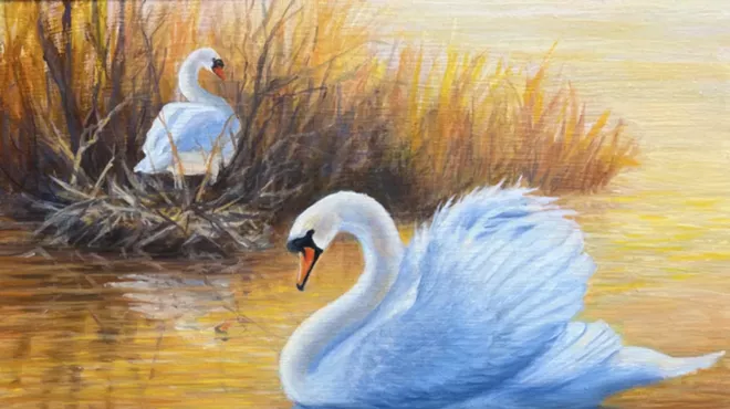 Image: Vivian Olsen Wildlife Paintings