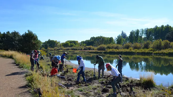 Image: Volunteer: Ryan Meadow Planting & Restoration Project