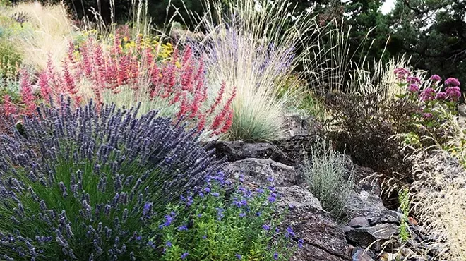 Image: Waterwise Gardening