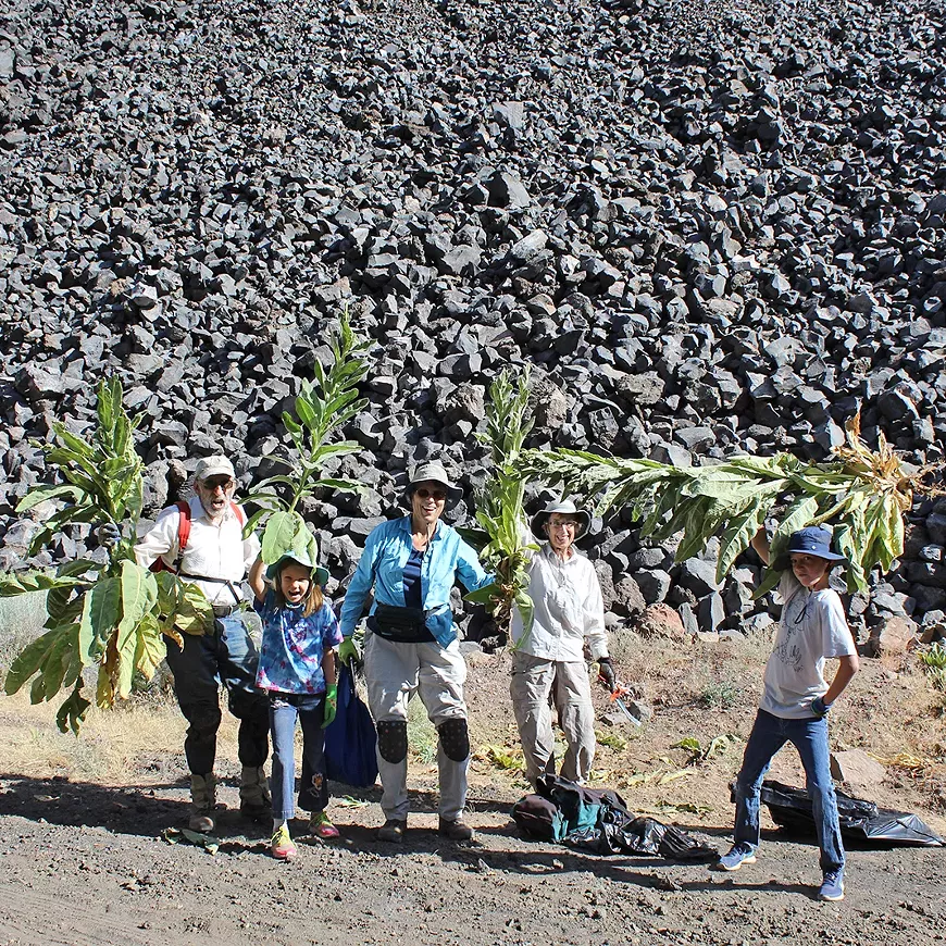 Volunteer Weed Warriors