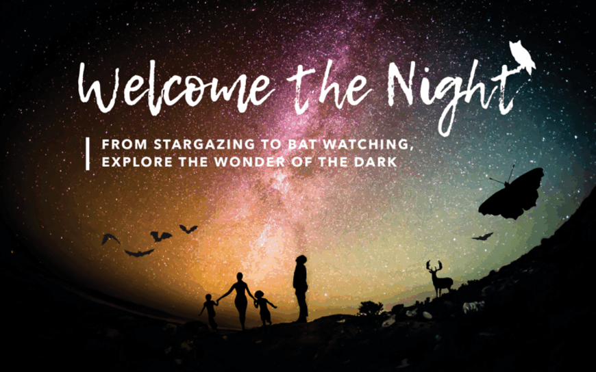 welcome_the_night.png