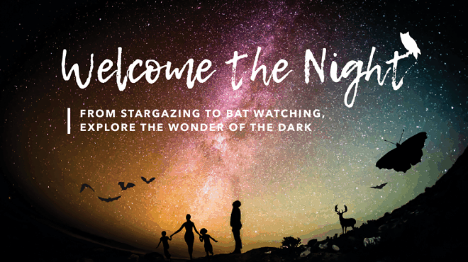 Image: Welcome the Night