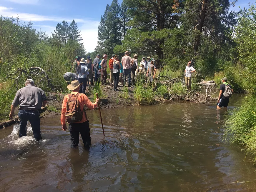 deschuteslandtrust_42746010.webp