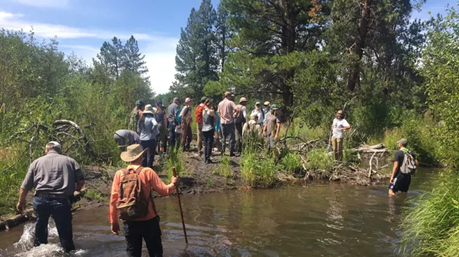 Image: Whychus Creek Cleanup