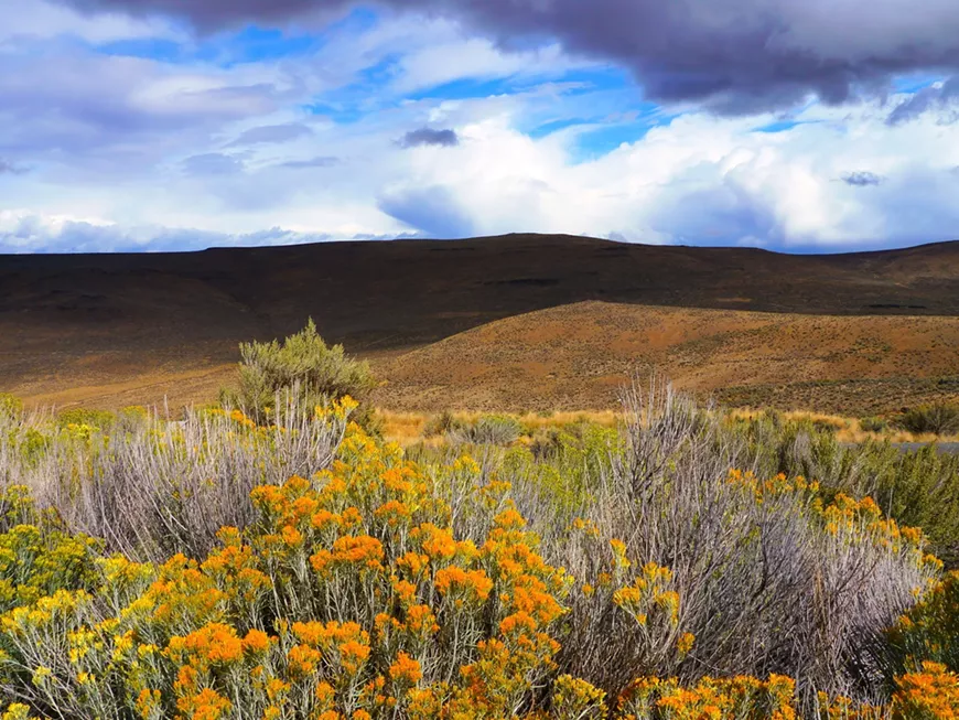 april_nhp_land_trusts._sm.webp