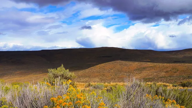 Image: Wild Possibilities: The Role of Land Trusts in Conservation