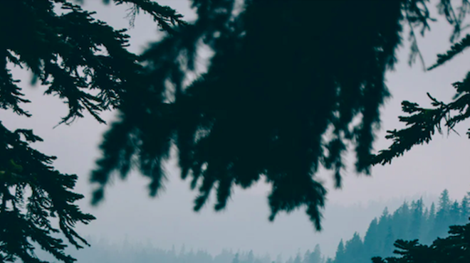 Image: Wildfire Care: Herbal Support for Smoke, Stress & Resilience