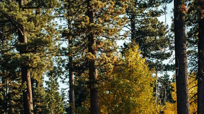 Image: Wildfire Recovery Work Party