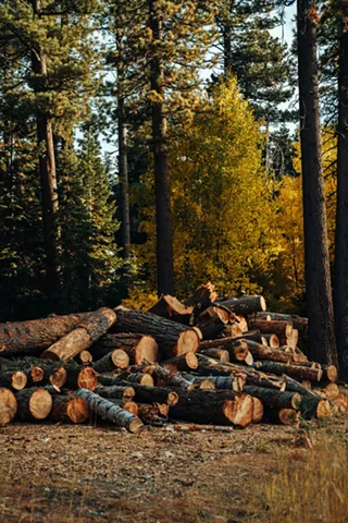 Image: Wildfire Recovery Work Party