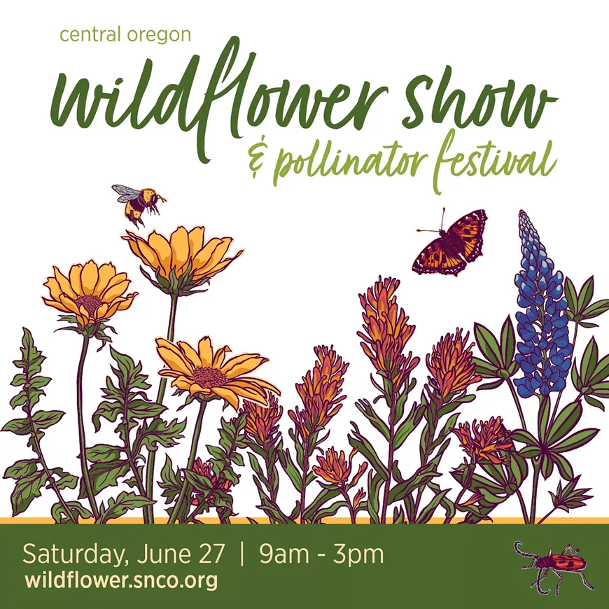 wildflower_square.webp