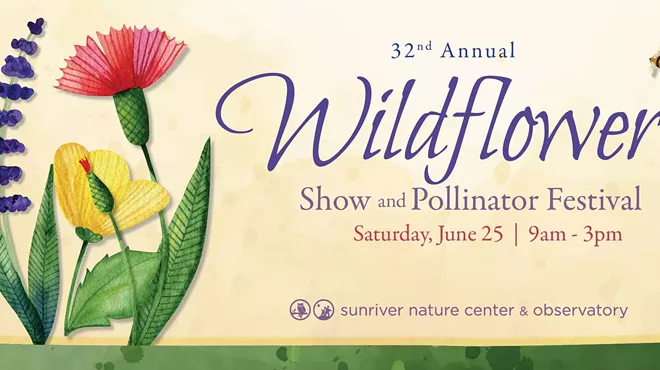 Image: Wildflower Show & Pollinator Festival