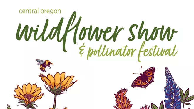 Image: Wildflower Show & Pollinator Festival