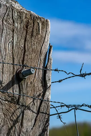 Image: Wildlife Fencing Work Party