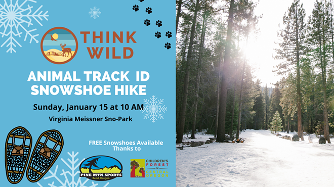 Image: Wildlife Track ID Snowshoe Hike