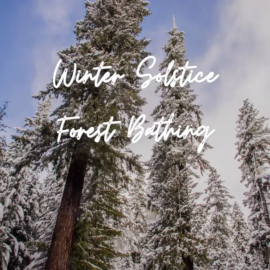 forest_bathing.webp