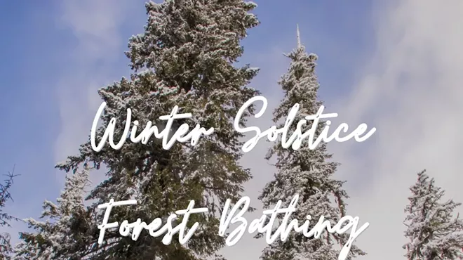 Image: Winter Solstice Forest Bathing