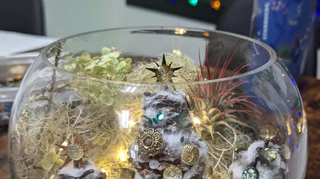Image: Winter Wonderland Terrariums