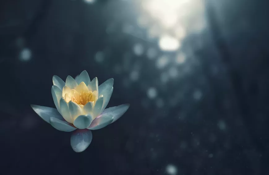 zoltan-tasi-vhnvtlk8rcc-unsplash.webp