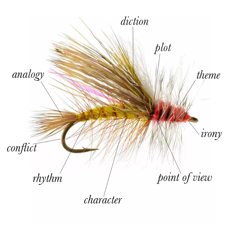 higher_res_fly_anatomy.webp