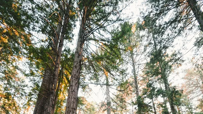 Image: Yoga Hike/Mini Retreat